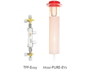 PURE-EVs PLUS for Exosome concentration and Purification